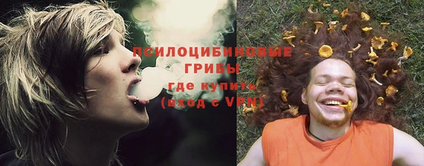 дживик Балабаново